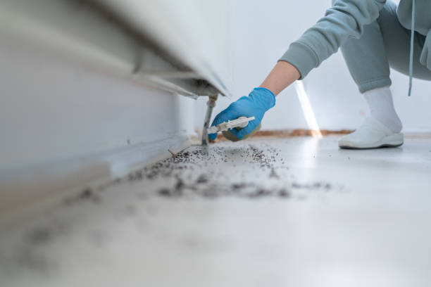 Best Mosquito Control Services  in Windber, PA